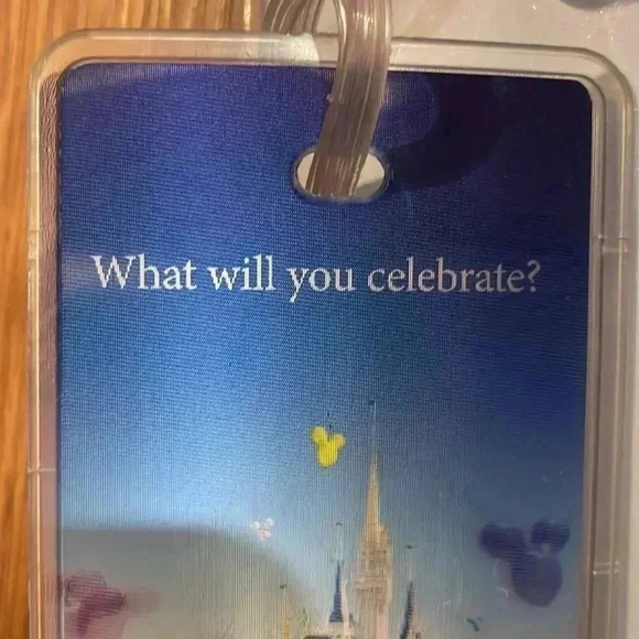 Walt Disney World Travel Tags - Picture 5 of 6